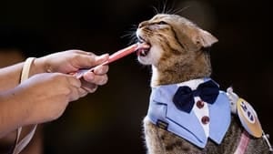 gettyimages-2225833580